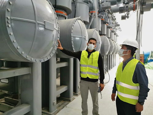 荒漠中有序推动埃及超高压设备建设——埃克伦斯电气的实践与策略